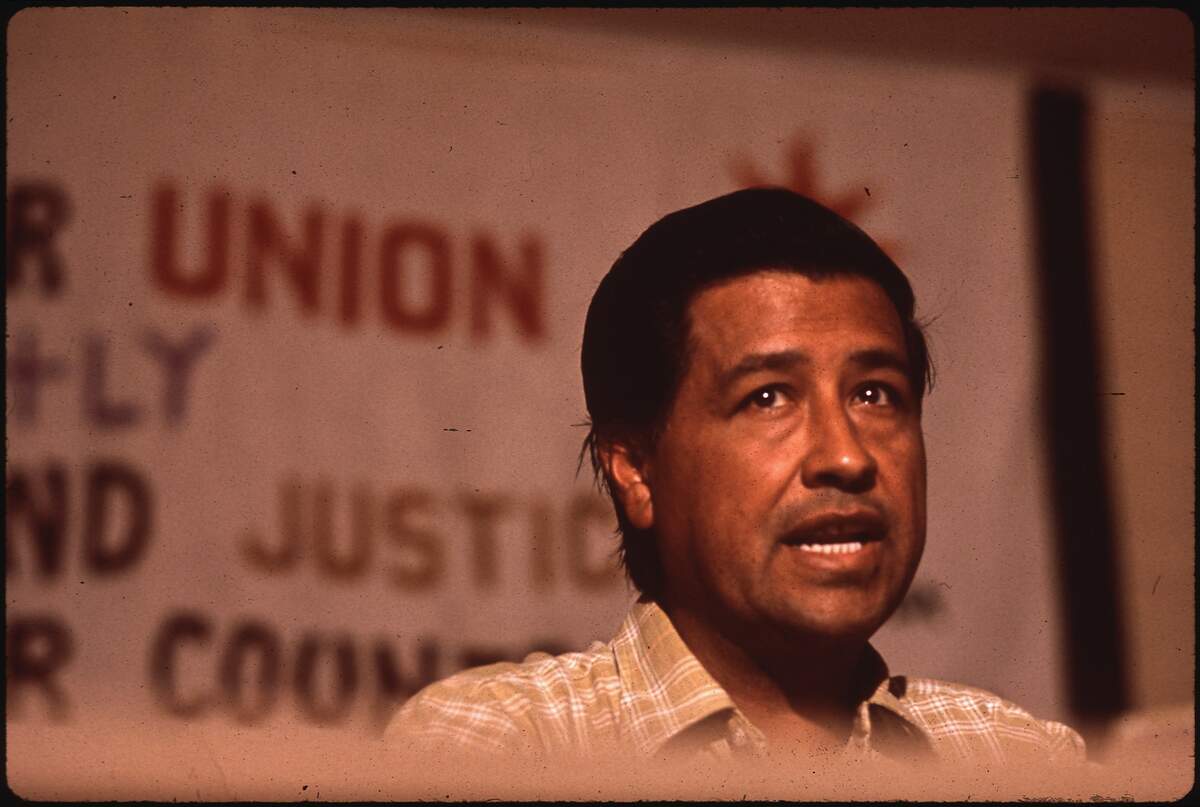 Image for César Chávez Day