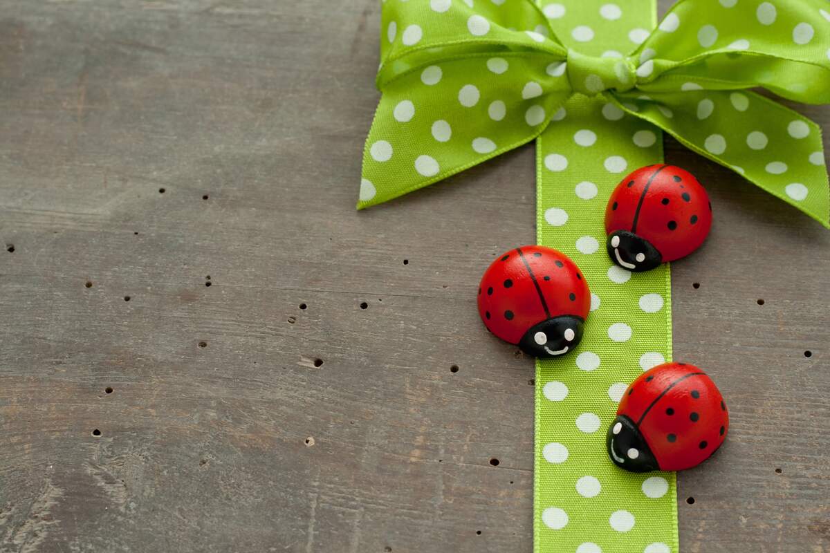 Image for National Gift of the Ladybug Day