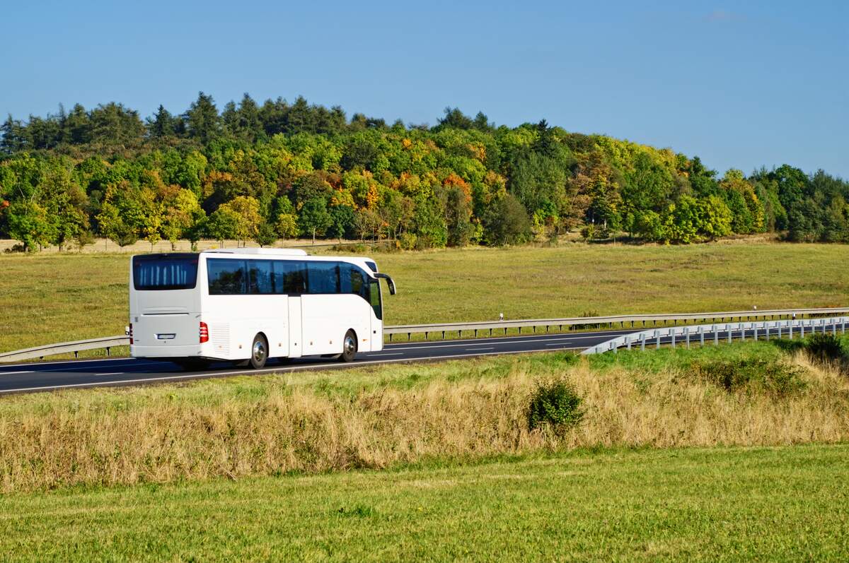 Image for Rural Transit Day