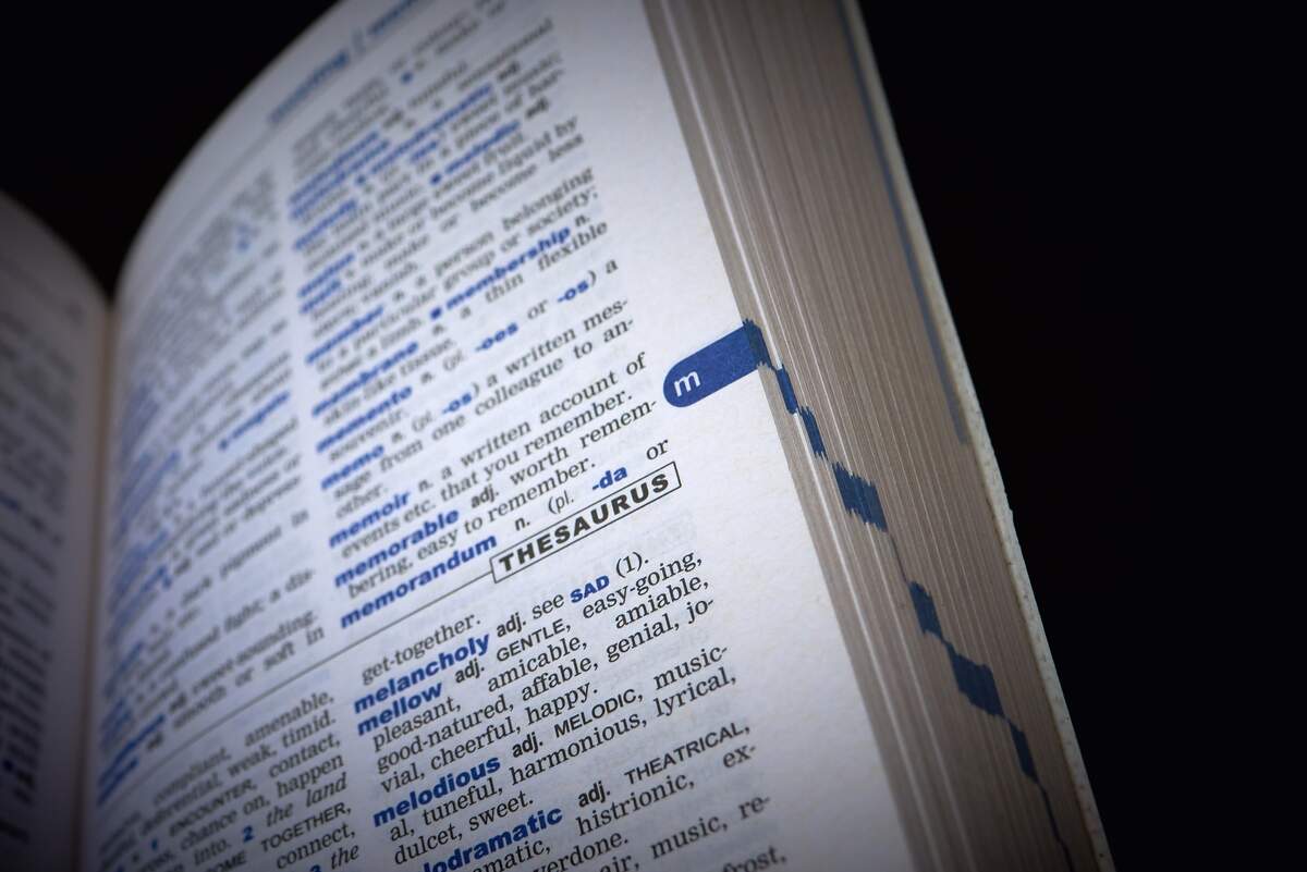 Image for Thesaurus Day