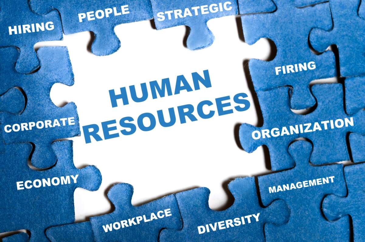Image for Human Resource Professional Day