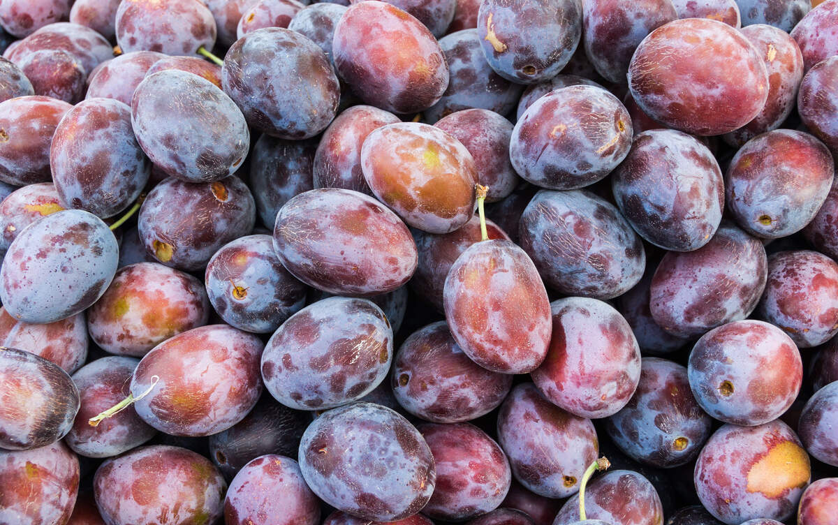 Image for National Prune Breakfast Month