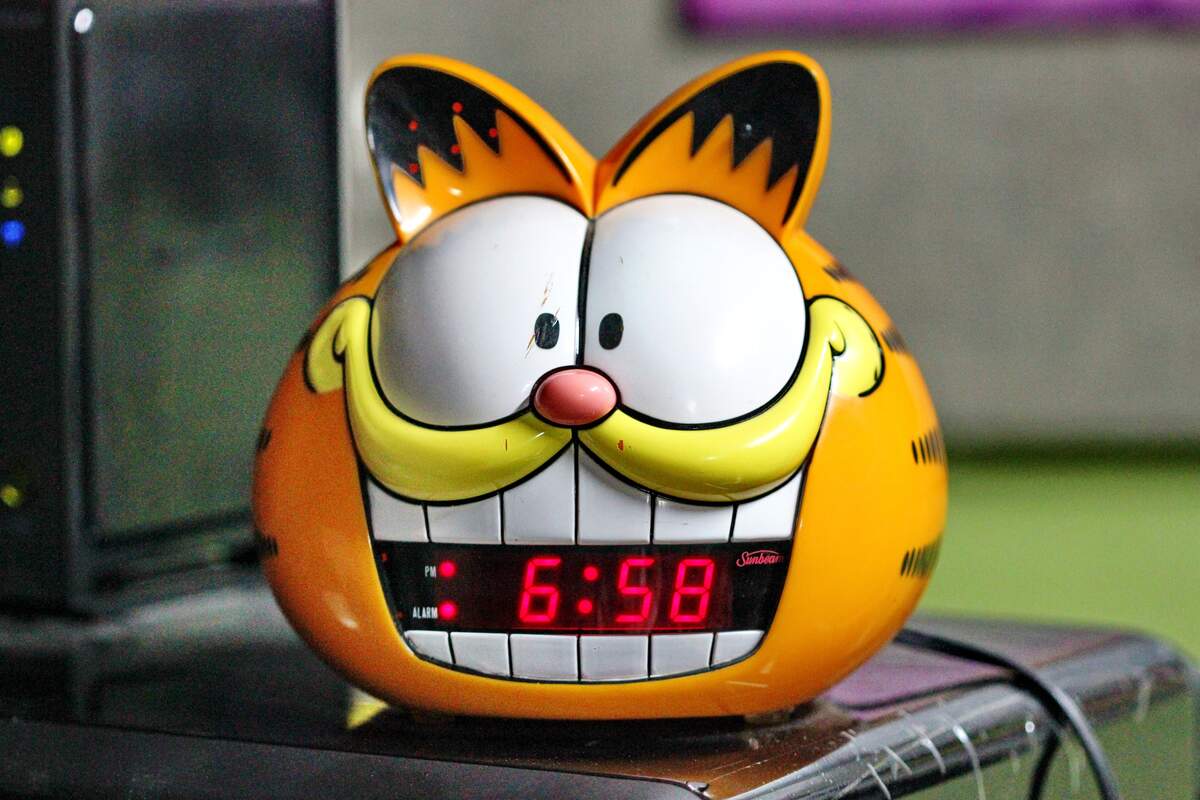 Image for Garfield the Cat Day