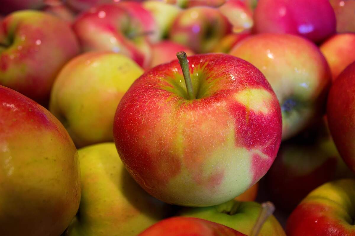 Image for National SugarBee Apple Day