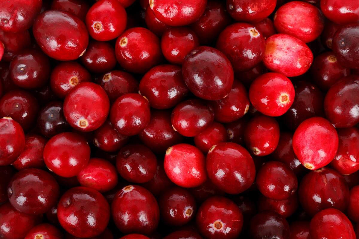 Image for National Cranberry Day