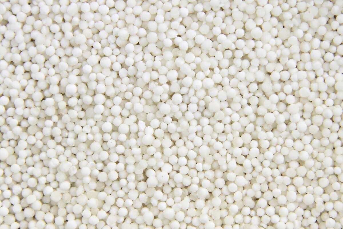 Image for National Tapioca Day