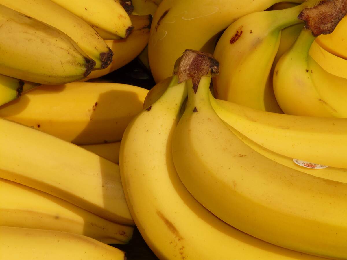 Image for National Banana Lovers Day