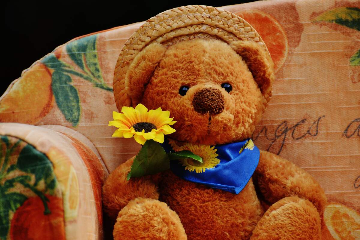 Teddy Day: By giving teddy, you have to talk about your heart, first know  how it happened, on this day the Bear started calling Teddy