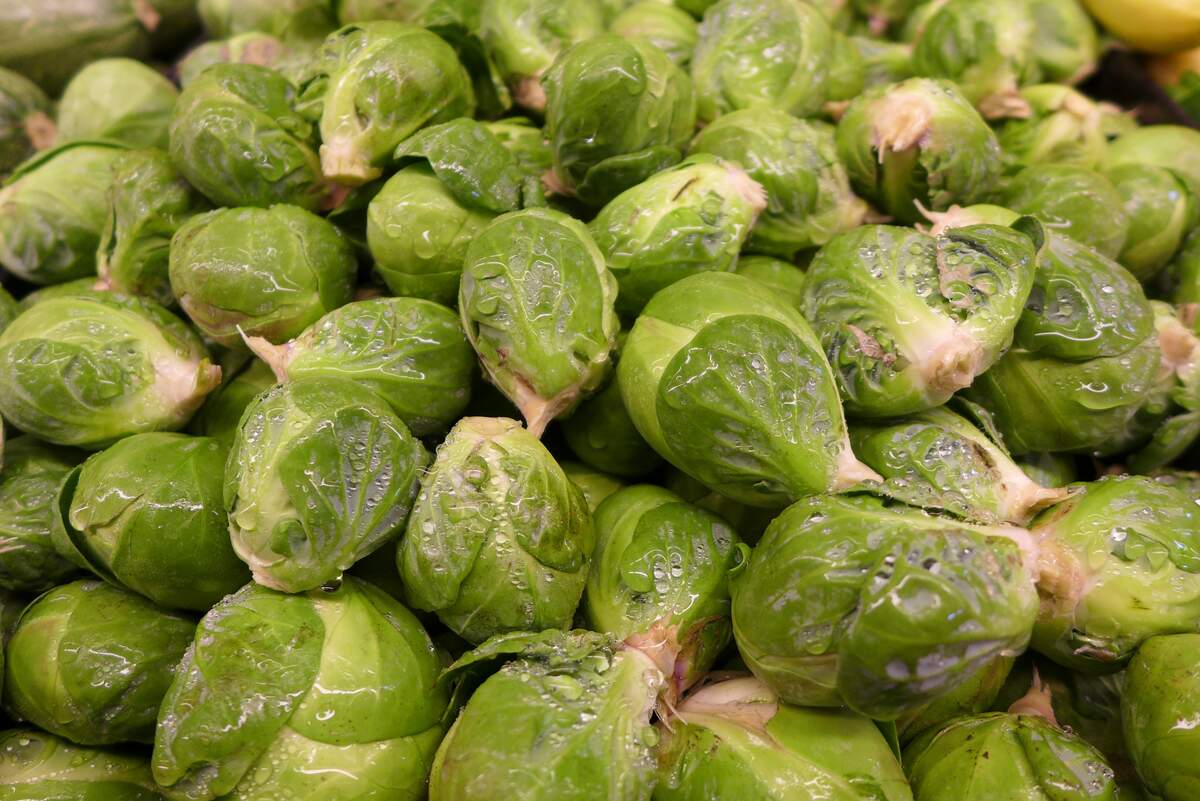 balsamic-brussels-sprouts-with-bacon-dried-cranberries-and-pecans