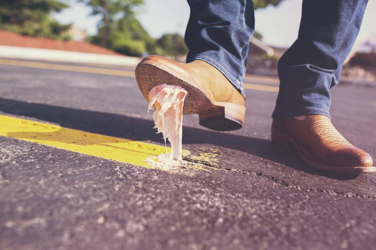 Image for Chewing Gum Day