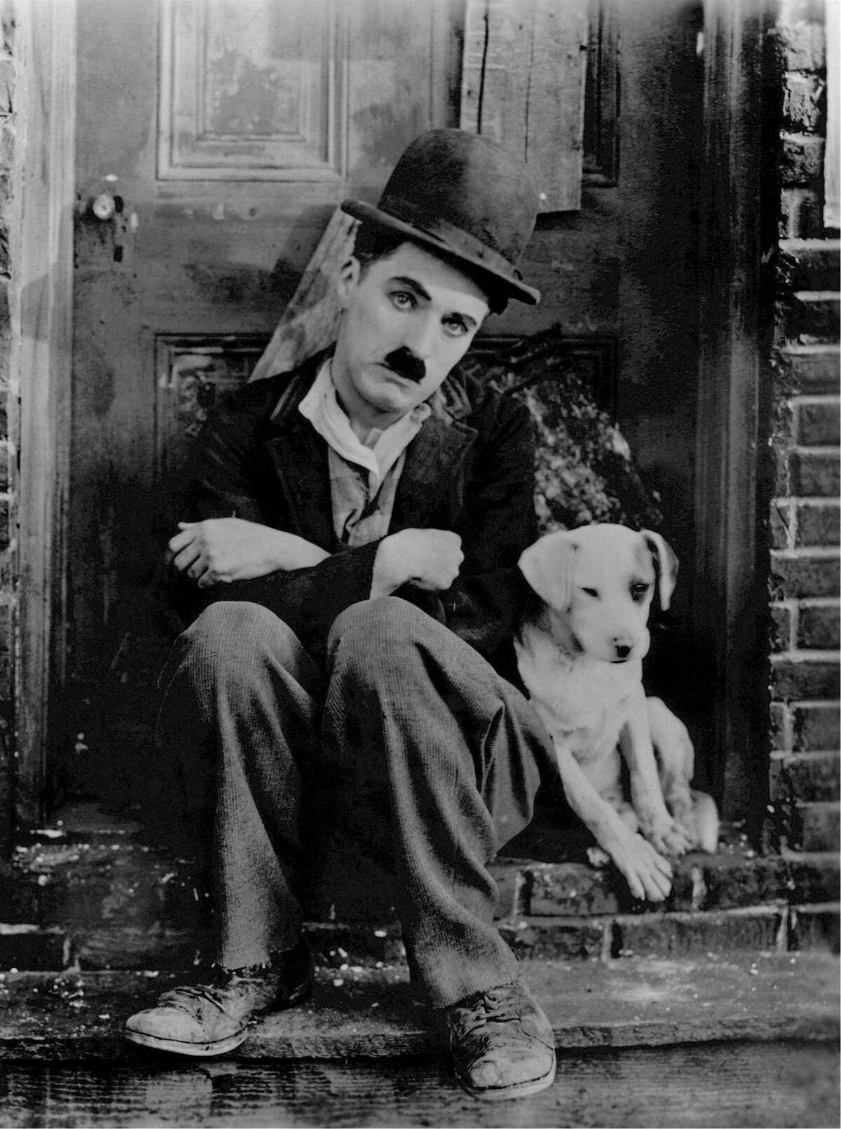 Image for National Pets in Film Day