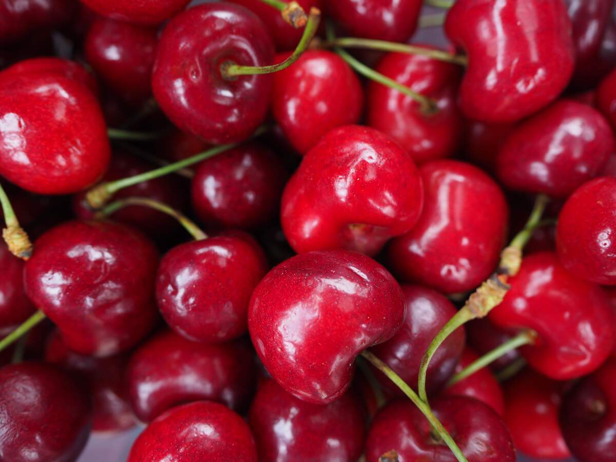 Image for National Cherry Day