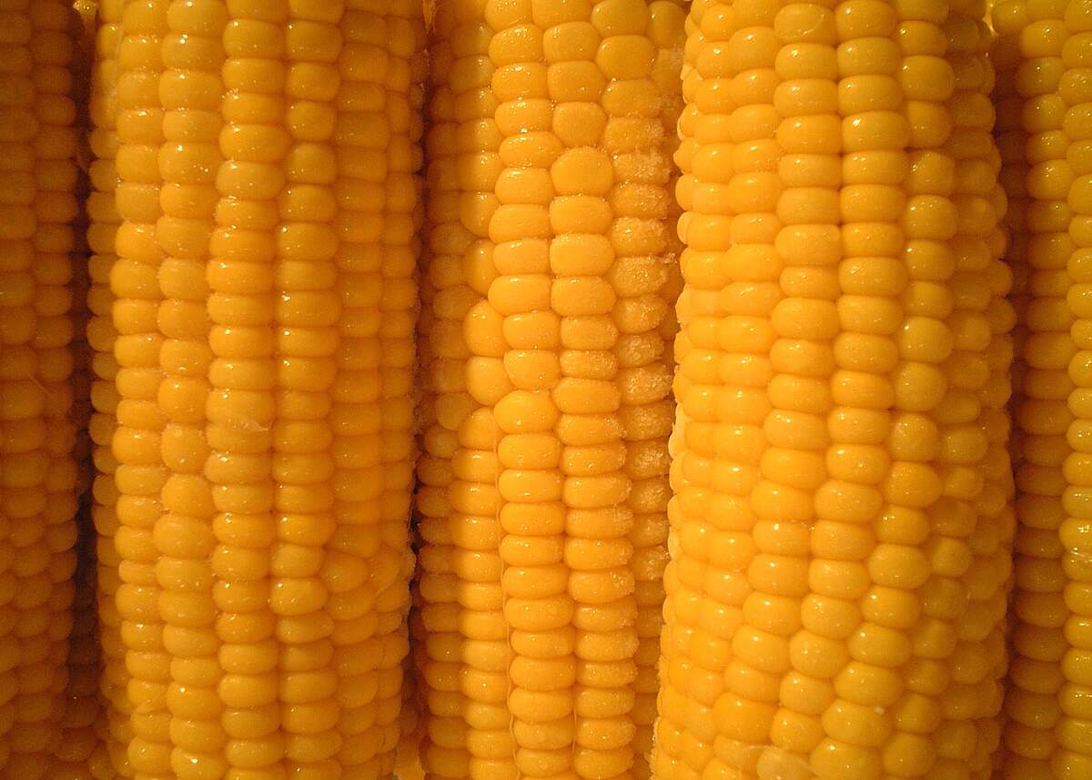 Image for National Corn Month