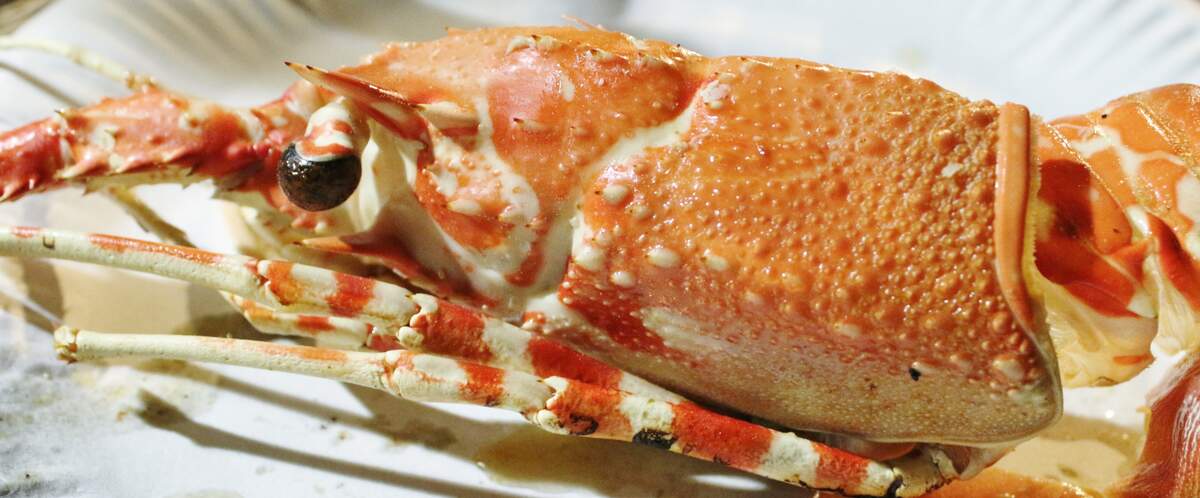 Image for National Crab Meat Newburg Day