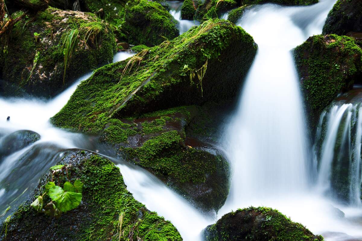 Image for World Rivers Day