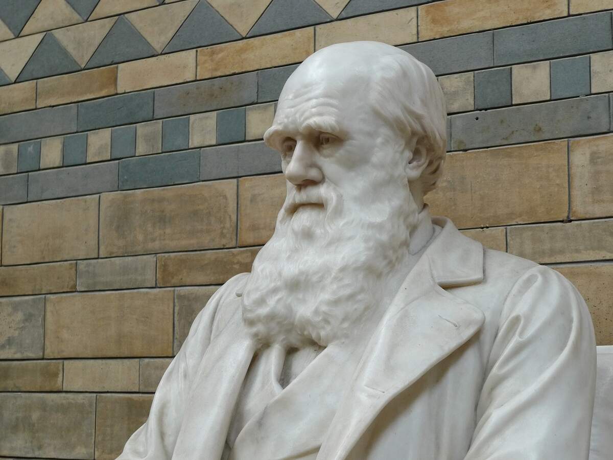 Image for International Darwin Day