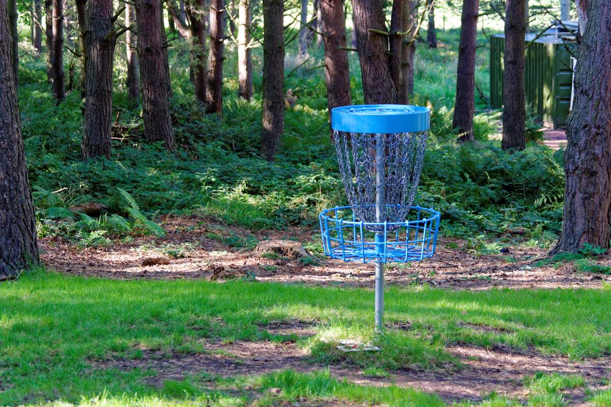 Image for National Disc Golf Day