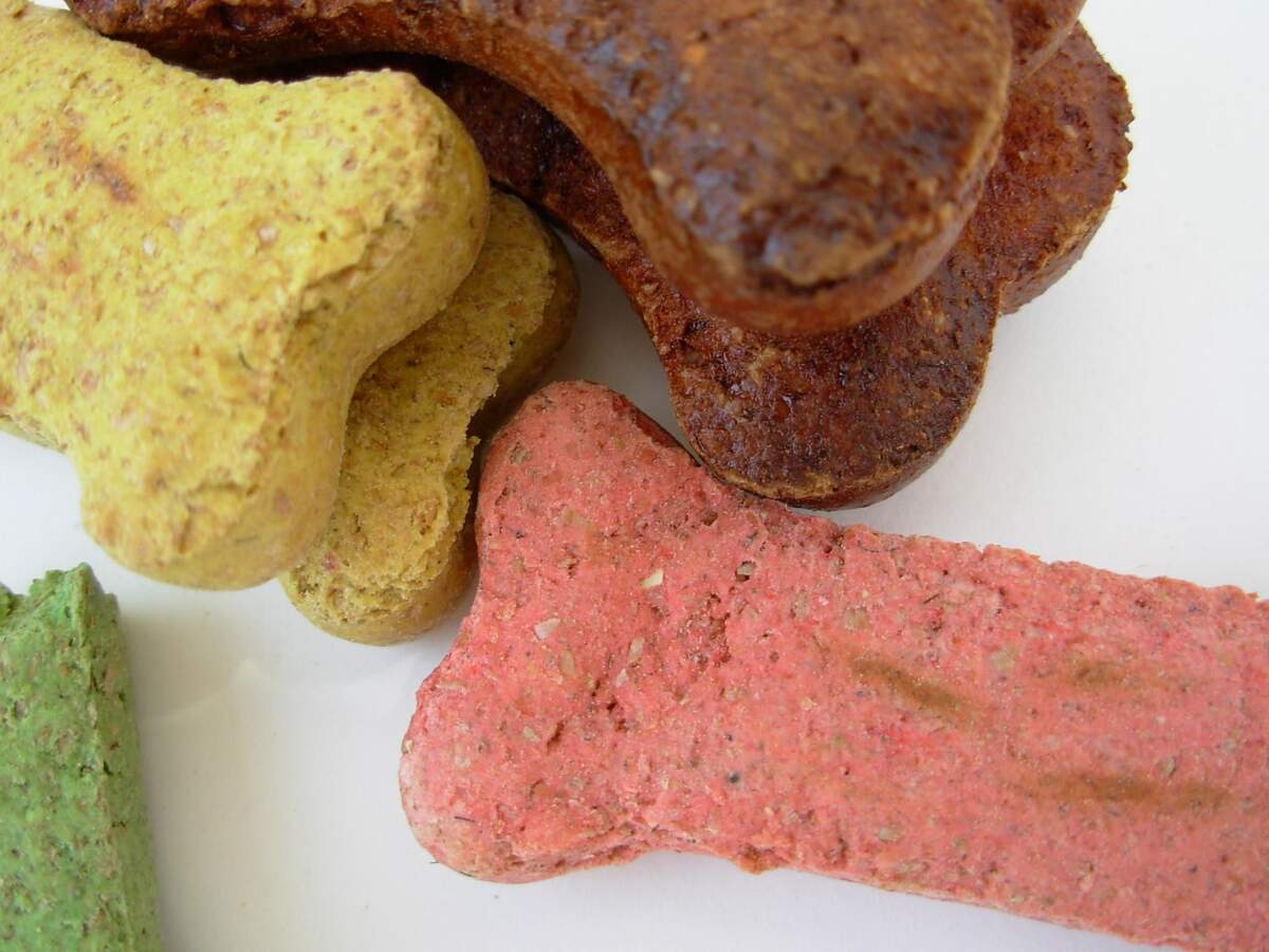 Image for International Dog Biscuit Appreciation Day