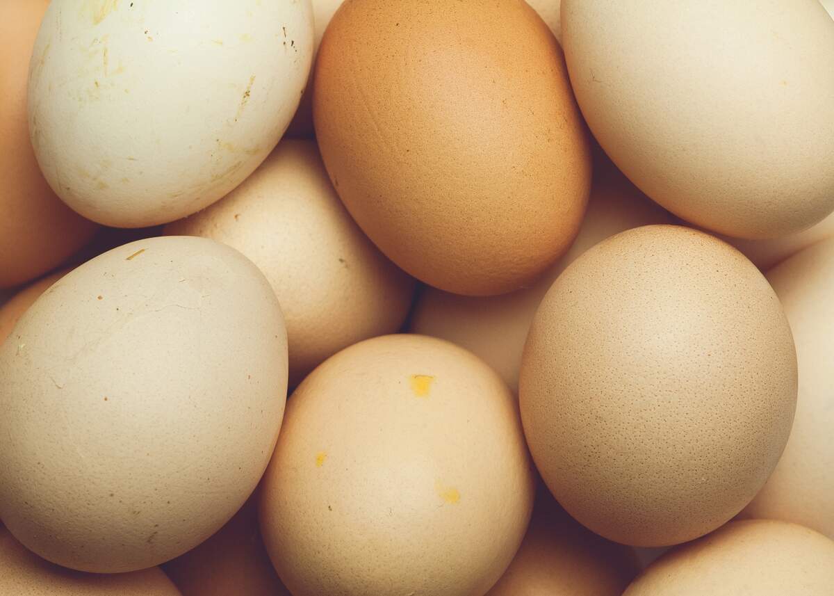 Image for National Egg Month