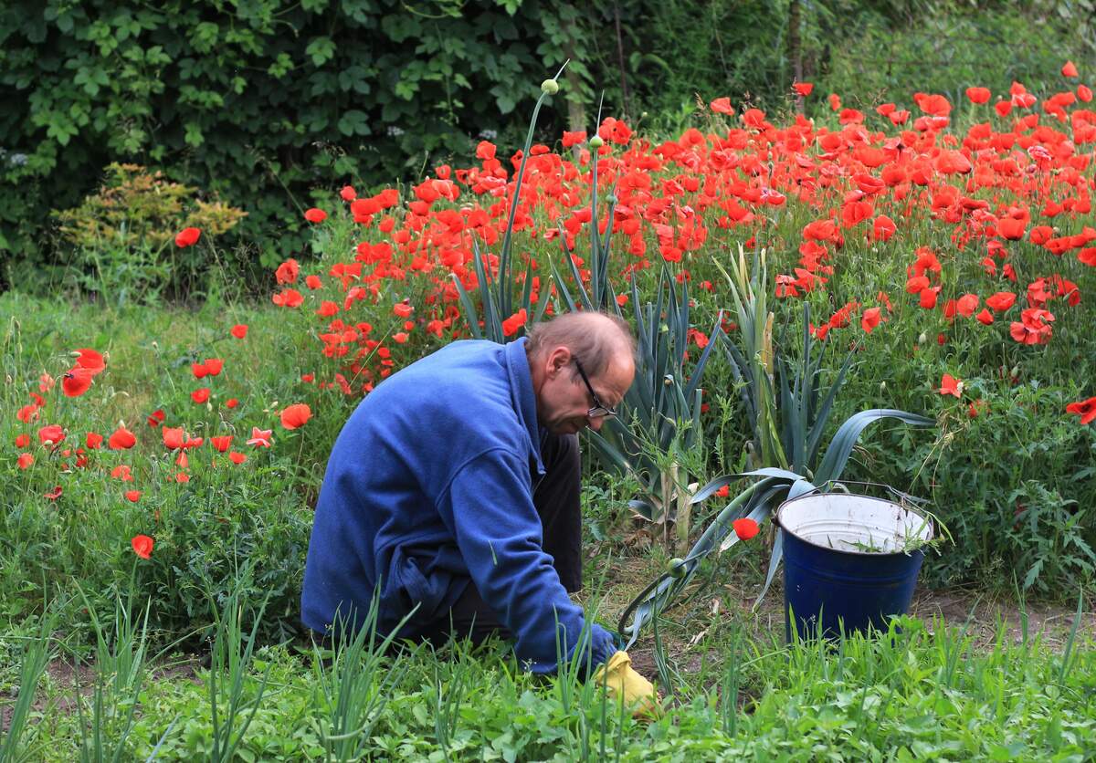 Image for National Garden Month