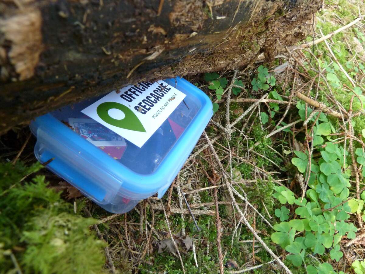 International Geocaching Day Holiday