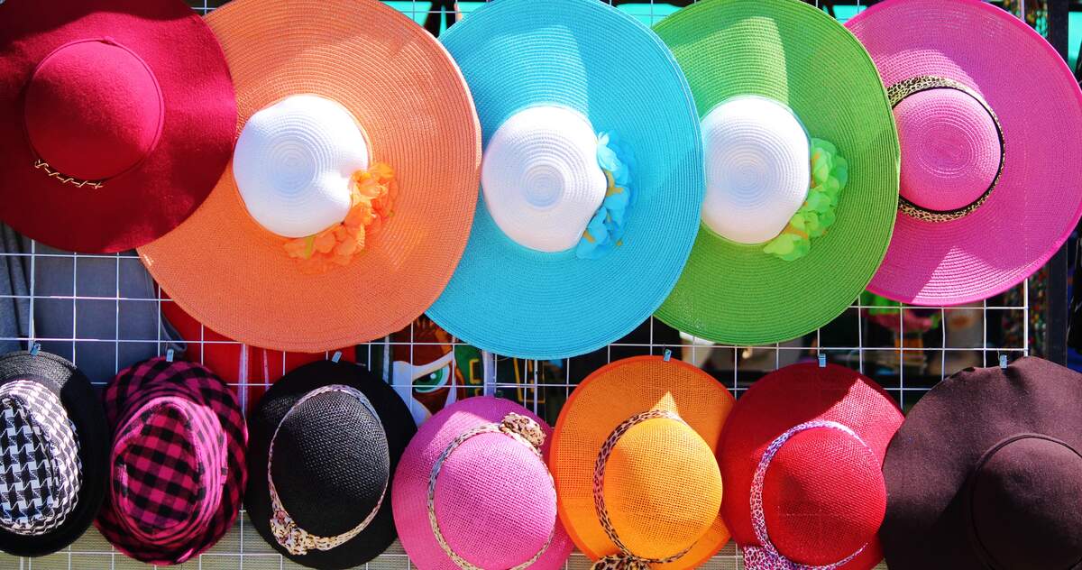 National Hat Day, January 15th.  School of Science and Technology -  Sugarland