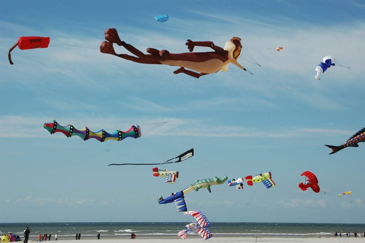 Image for National Kite Month