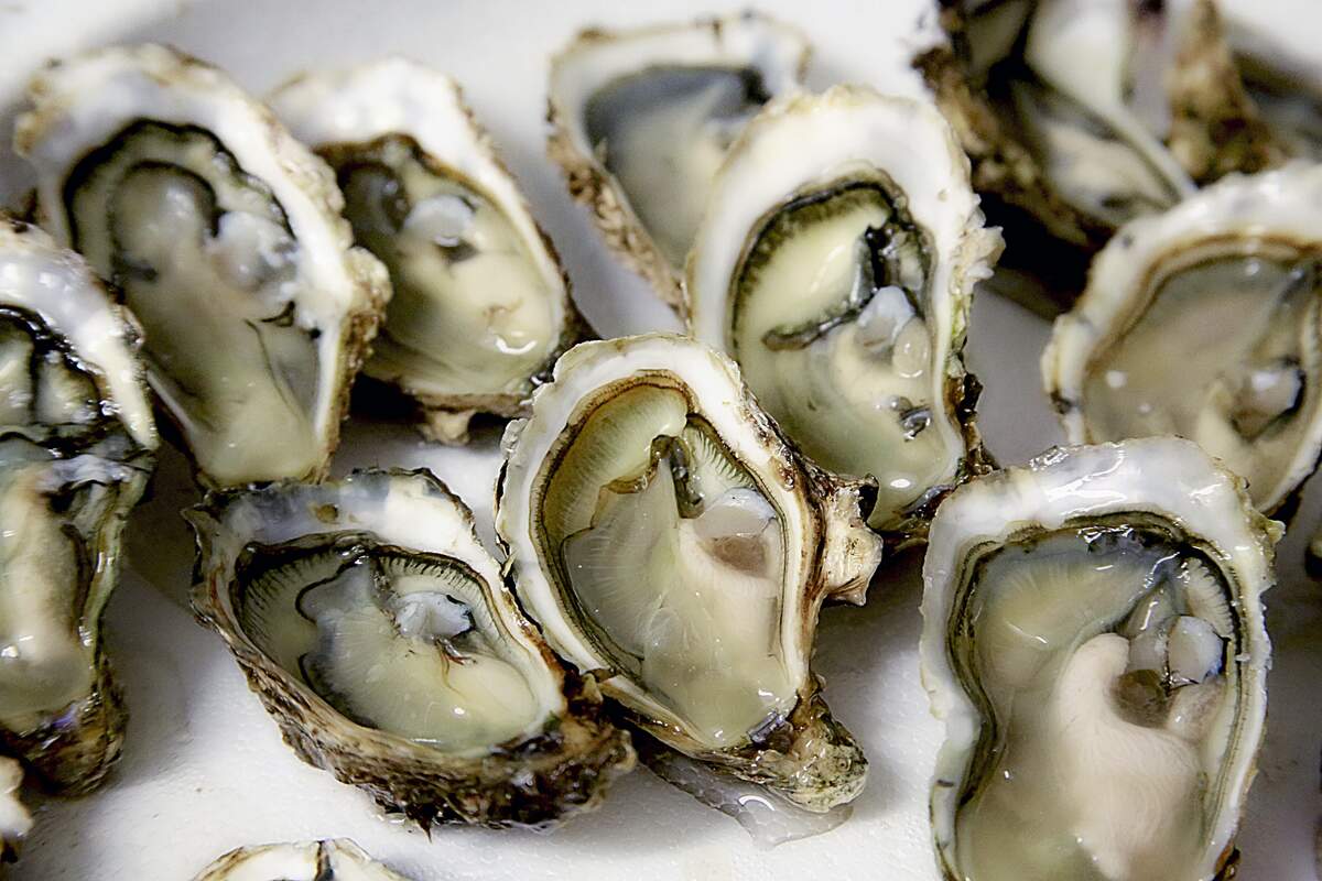 Image for National Oyster Day