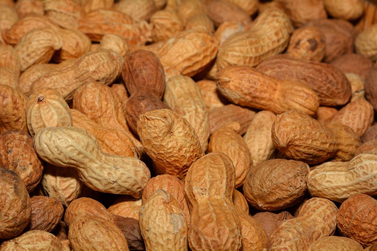 Image for National Peanut Day