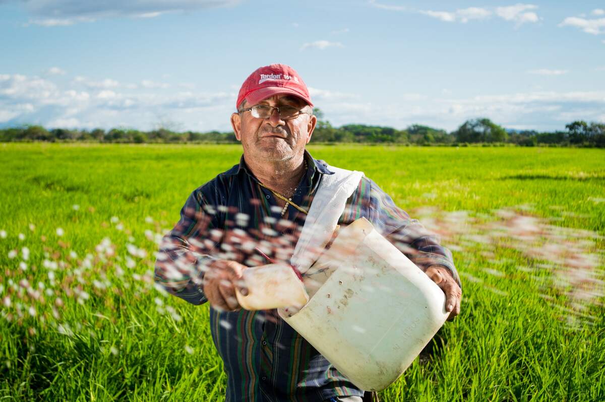 Image for National Farmer's Day