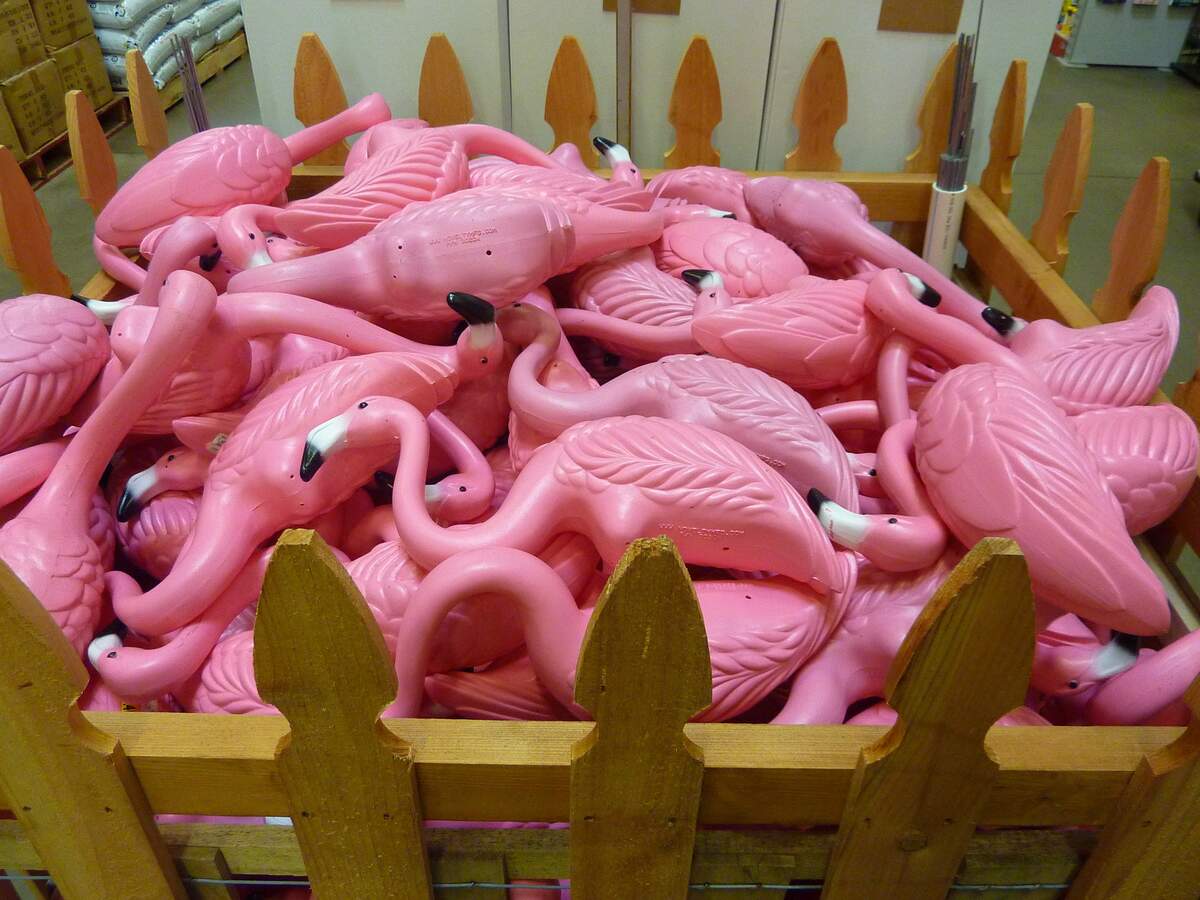 Image for Pink Flamingo Day