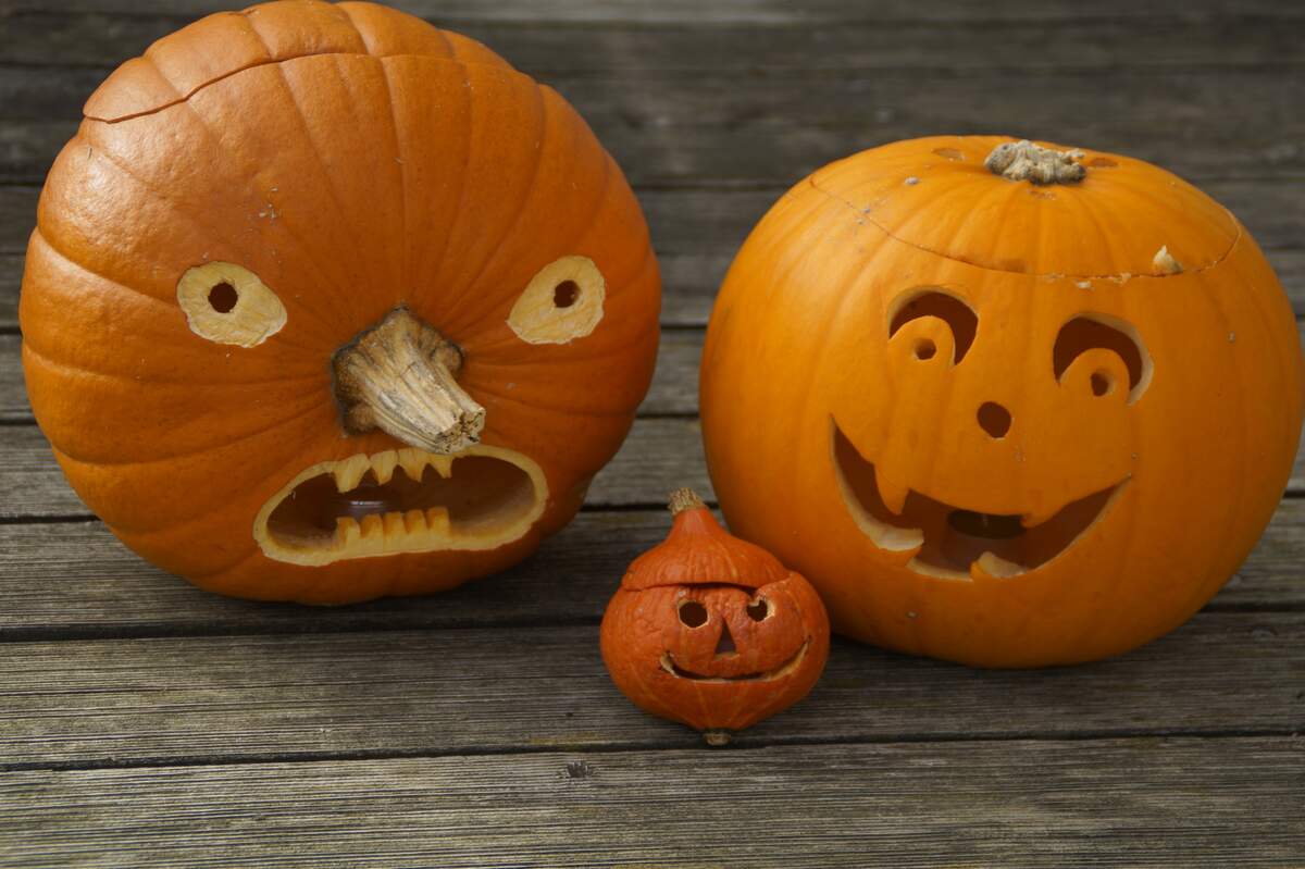 Image for Carve a Pumpkin Day