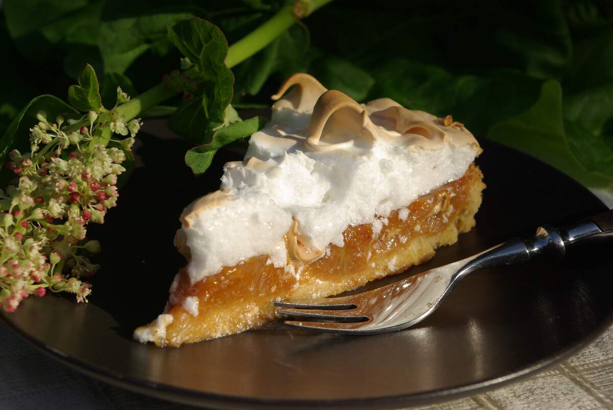 Image for National Rhubarb Pie Day