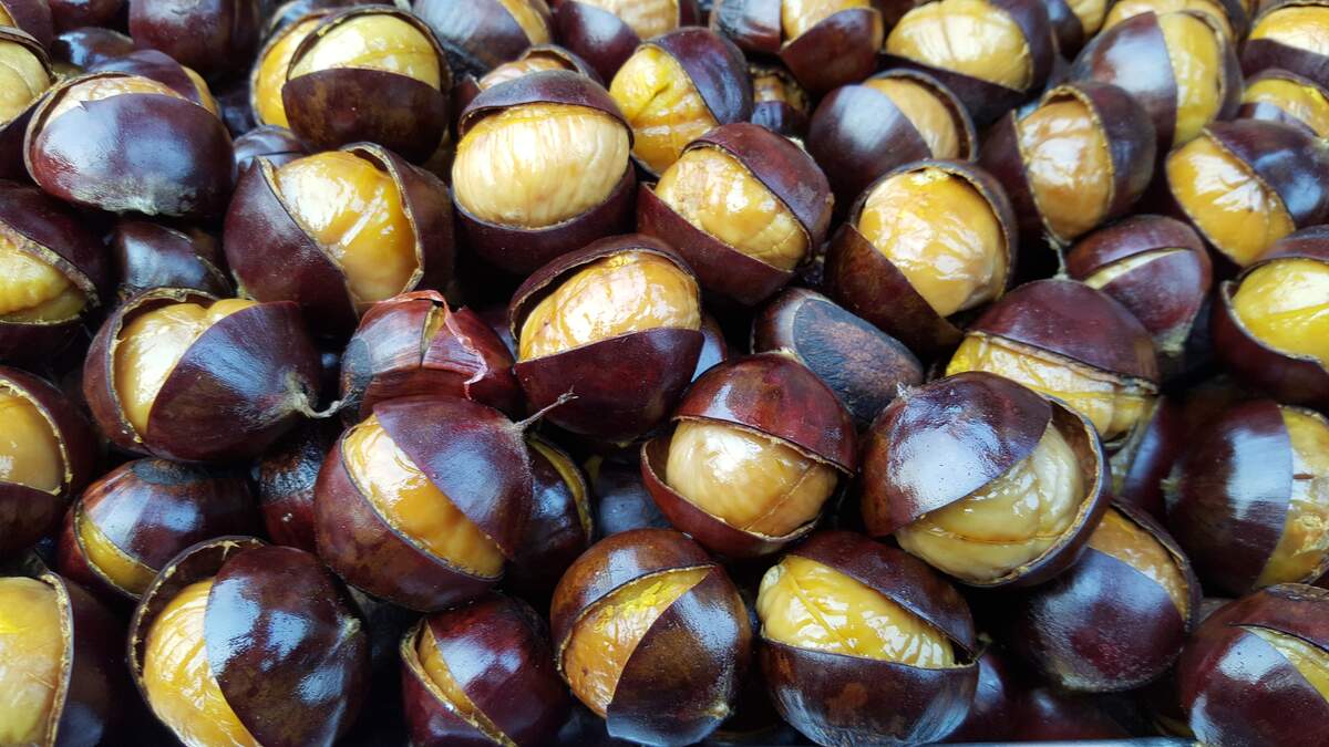 National Chestnut Week | Holiday | Checkiday.com