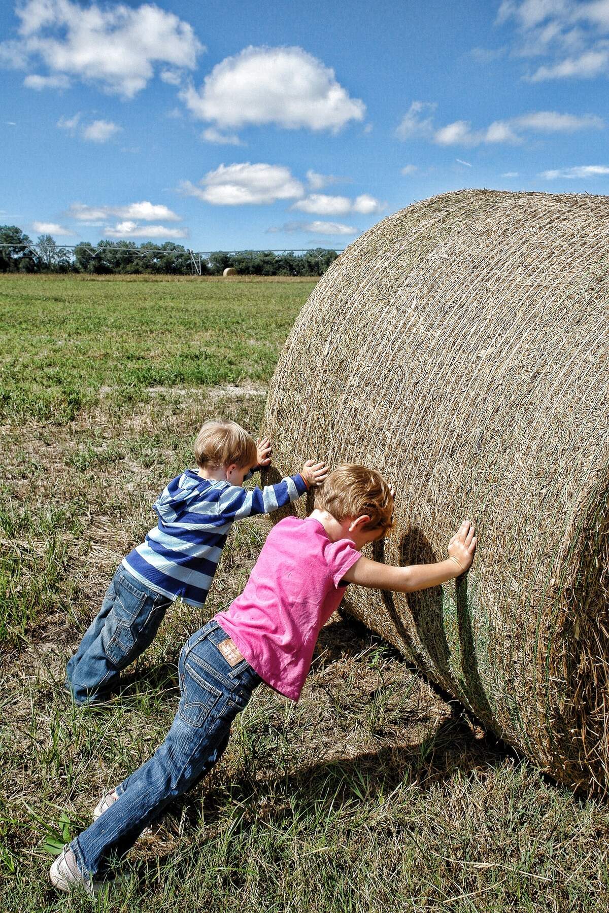 Image for National Farm Safety Day for Kids