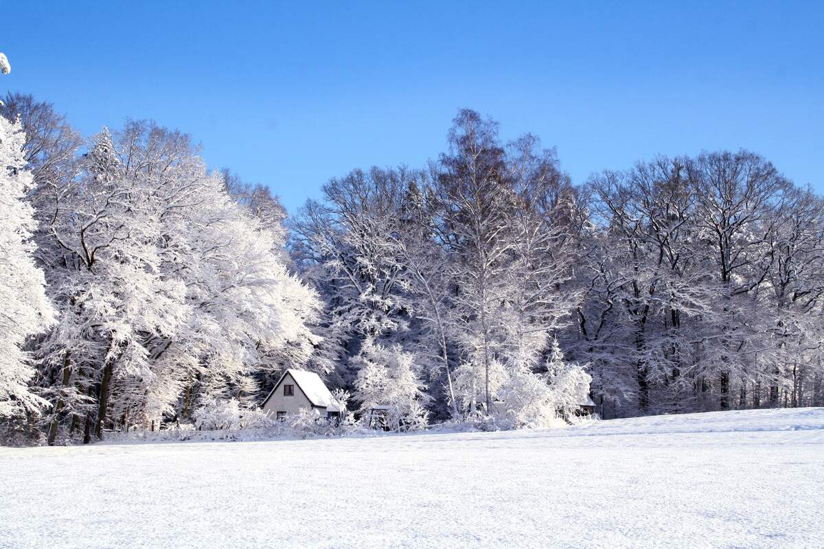 The First Day of Winter Holiday