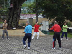 Image for World Tai Chi and Qigong Day