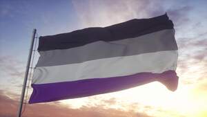 Image for International Asexuality Day