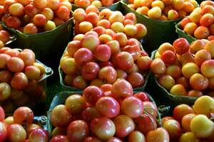 Image for National Rainier Cherries Day