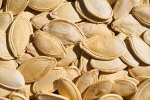 Image for National Pumpkin Seed Day