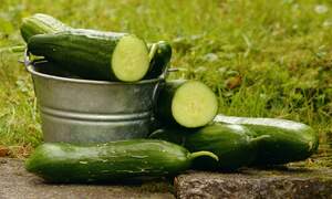 Image for National Cucumber Day