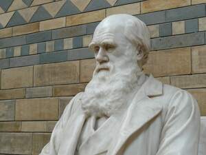 Image for International Darwin Day