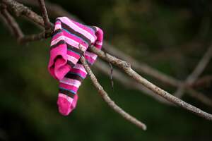 Image for Lost Sock Memorial Day