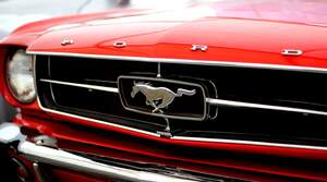 Image for International Ford Mustang Day