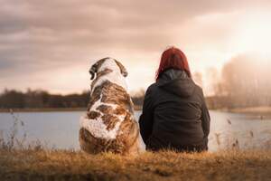 Image for Doggy Date Night