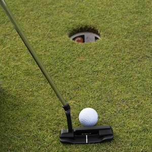 Image for Miniature Golf Day