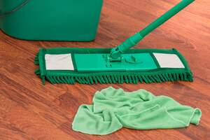 Image for National Professional House Cleaners Day