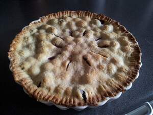 Image for National Blueberry Pie Day