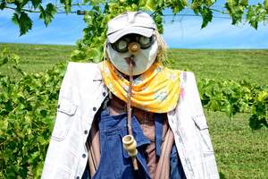 Image for National Build a Scarecrow Day