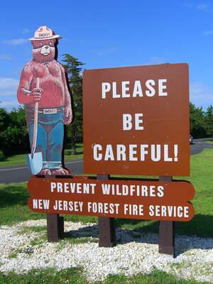 Image for Wildfire Community Preparedness Day